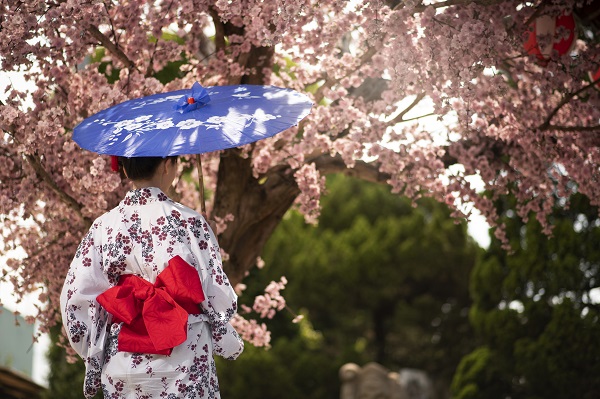 Traditional Japanese Holidays: A Journey Through the Calendar